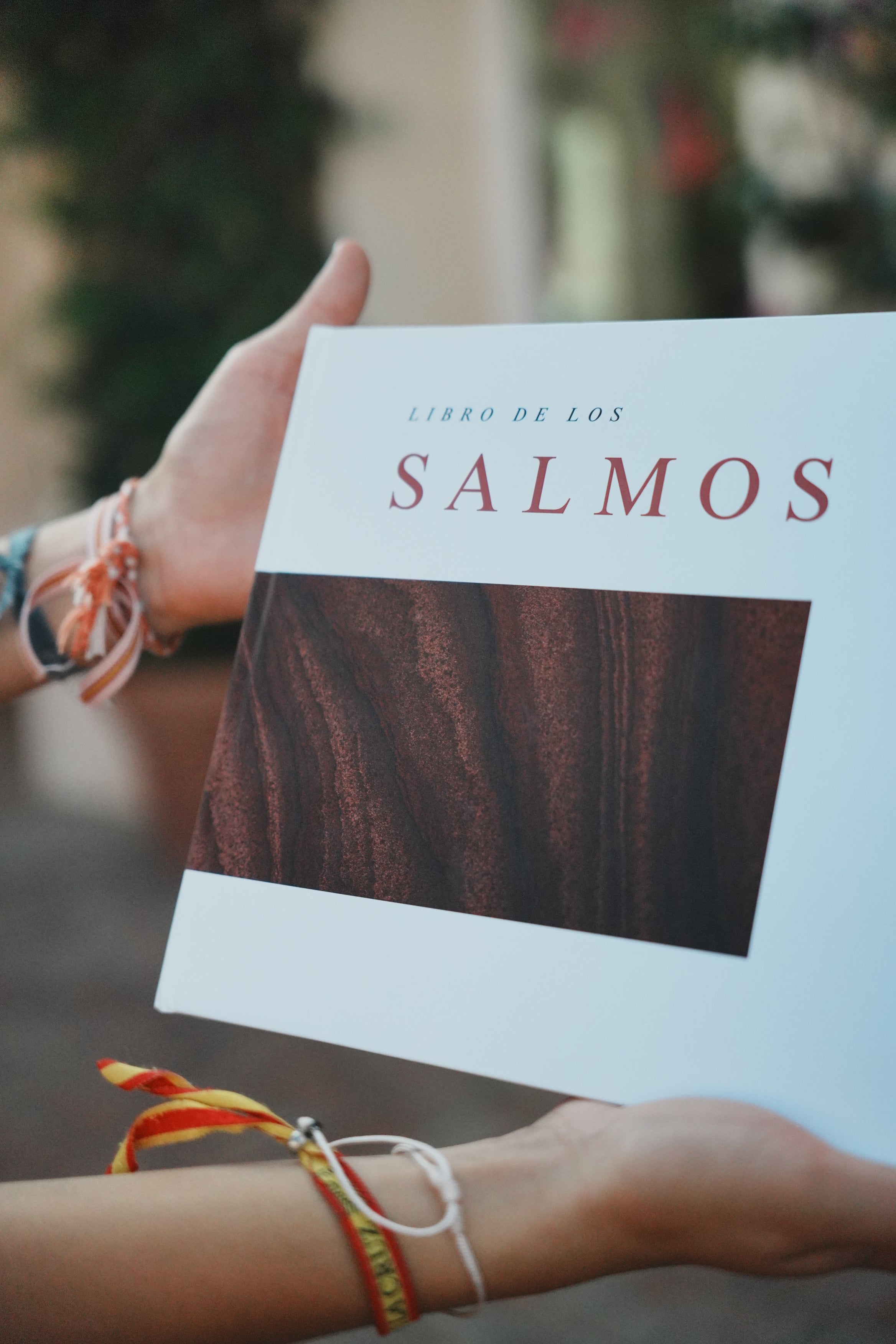 Libro Salmos 6